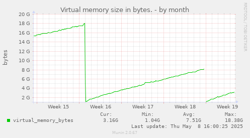 Virtual memory size in bytes.